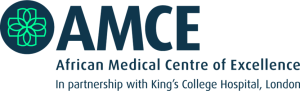 AMCE Logo- BRONZE